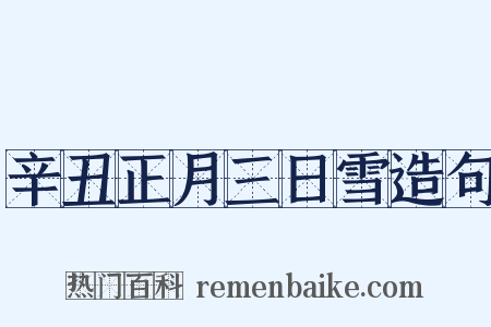 辛丑正月三日雪造句是什么意思的图片